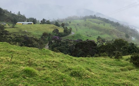 Finca En Venta - Puerto Frazadas, Tuluá