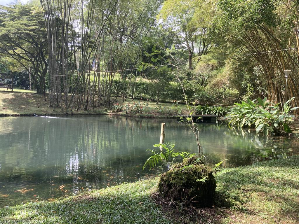Casa Campestre En Arriendo - Parcelación Chorro De La Plata, Cali