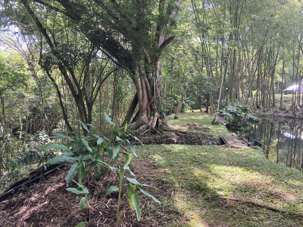 Casa Campestre En Arriendo - Parcelación Chorro De La Plata, Cali