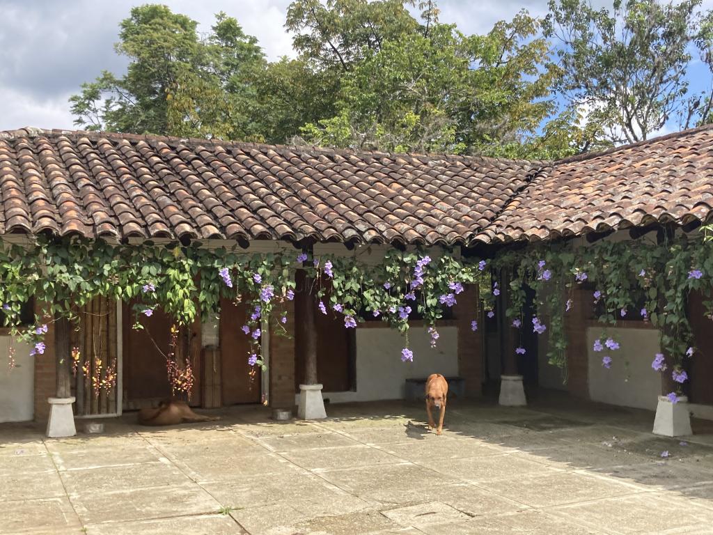 Casa Campestre En Arriendo - Parcelación Chorro De La Plata, Cali