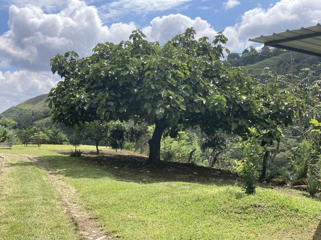 Casa Campestre En Arriendo - Parcelación Chorro De La Plata, Cali