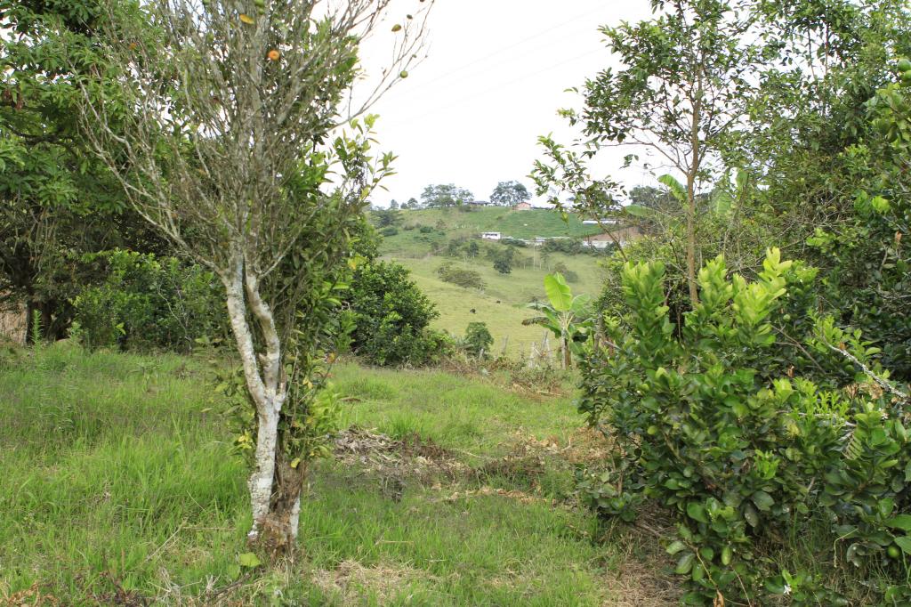 Finca En Venta - Puente Tierra, Calima