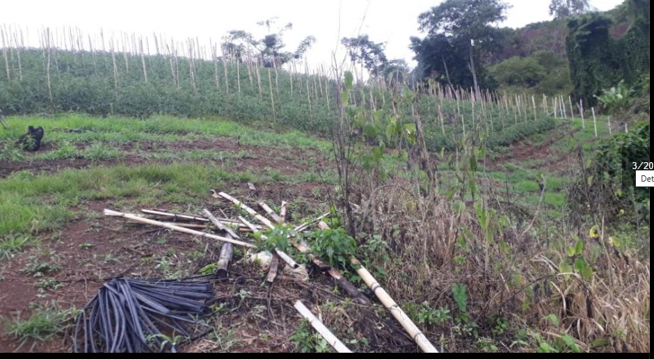 Finca En Venta - Puente Tierra, Calima