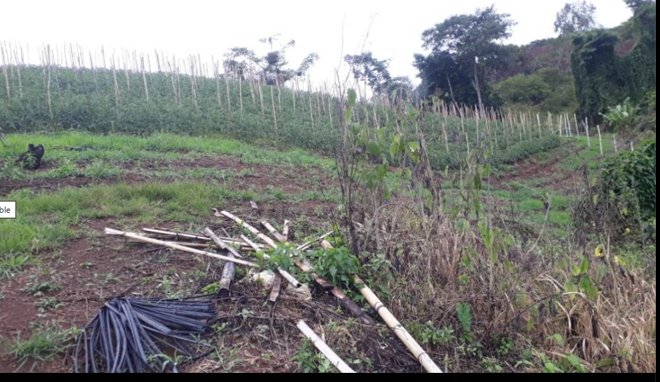 Finca En Venta - Puente Tierra, Calima