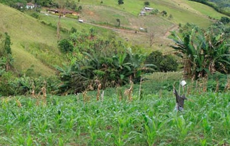 Finca En Venta - Puente Tierra, Calima