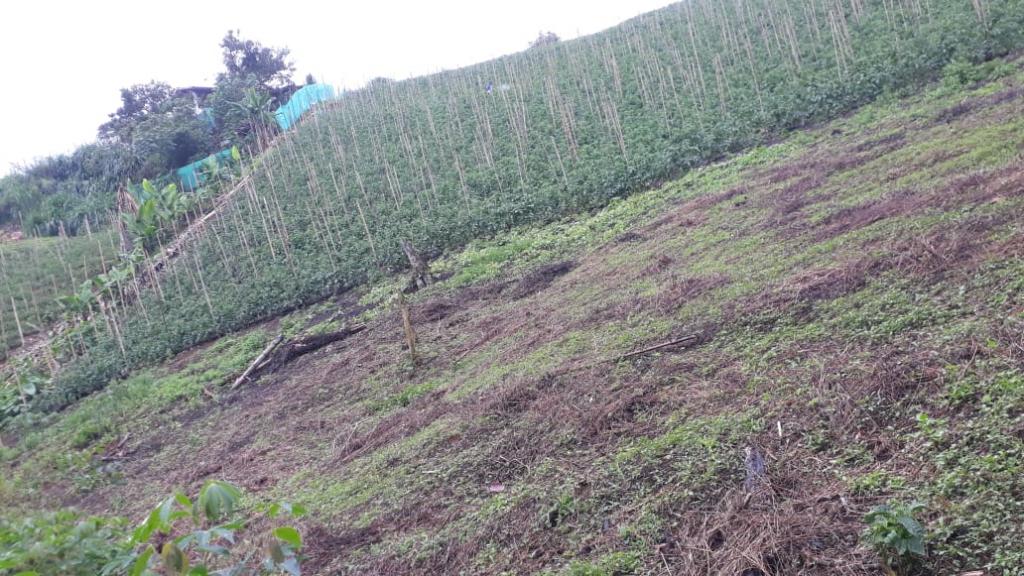 Finca En Venta - Puente Tierra, Calima