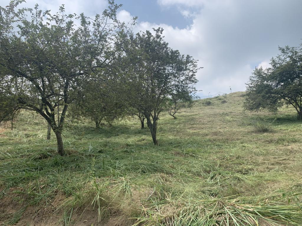 Lote En Venta - Parcelación Campestre Laguna Seca, Yumbo