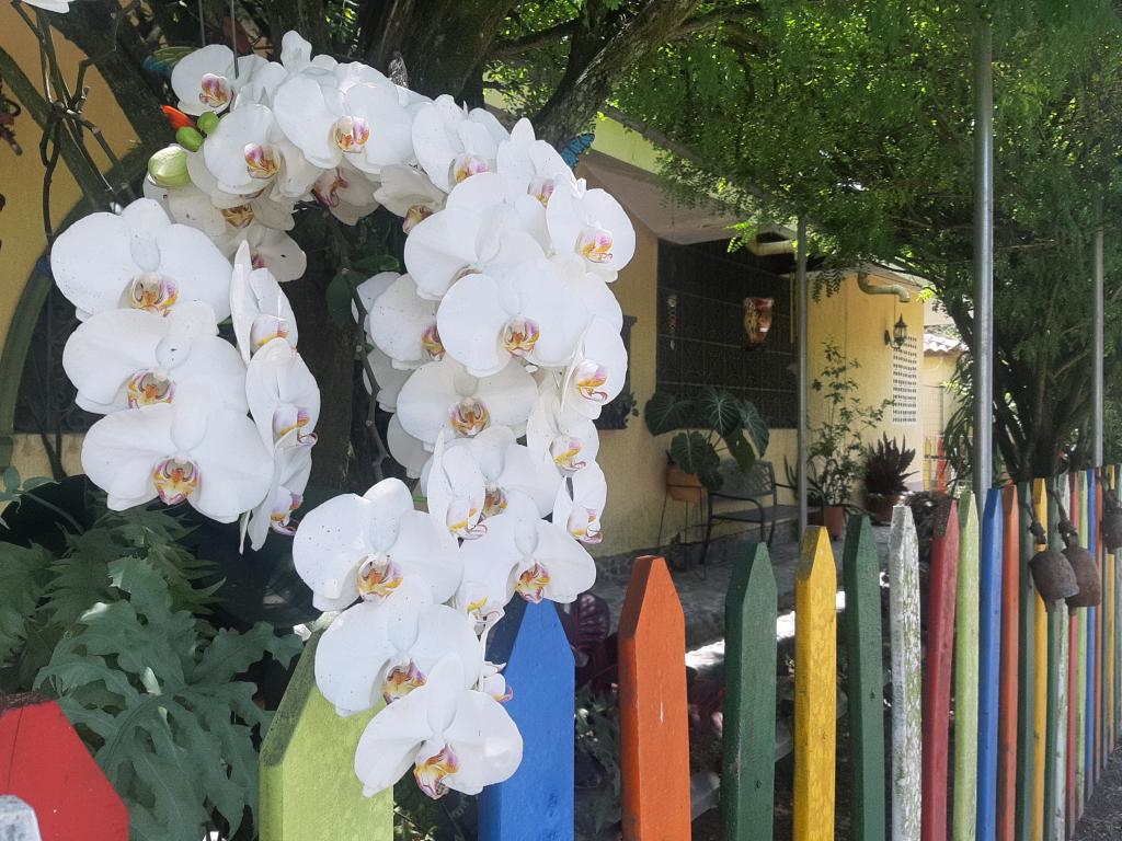 Casa Campestre En Venta - Vía El Naranjal - Ginebra, Ginebra