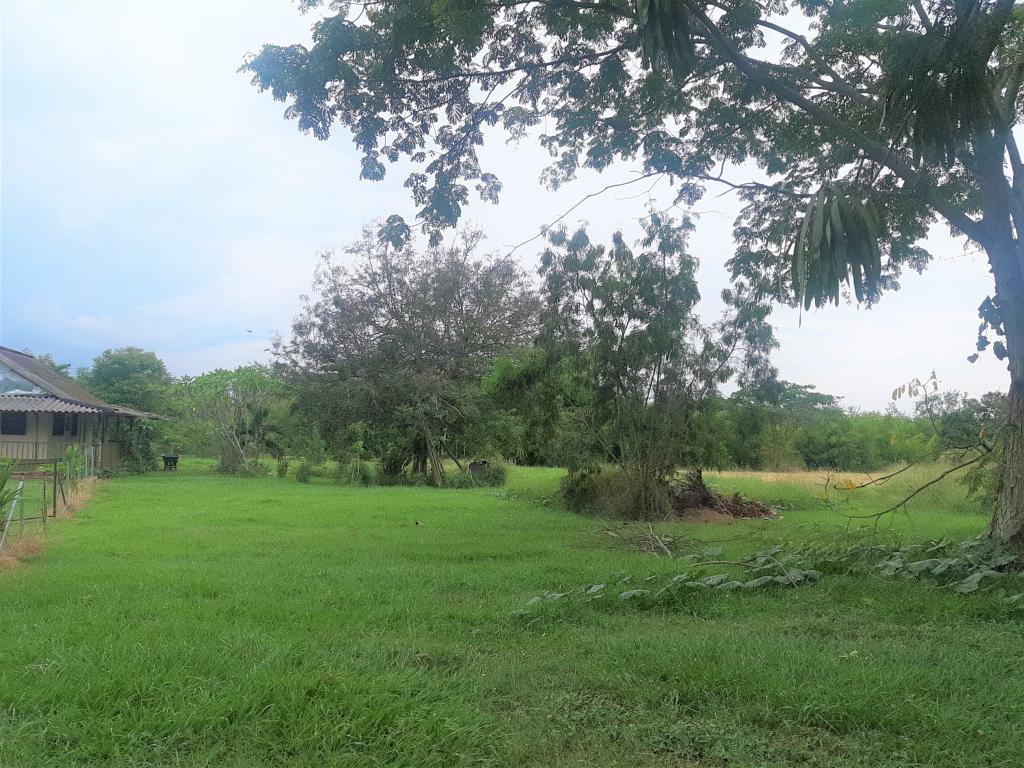 Lote En Venta - Vía El Naranjal-Ginebra, Ginebra