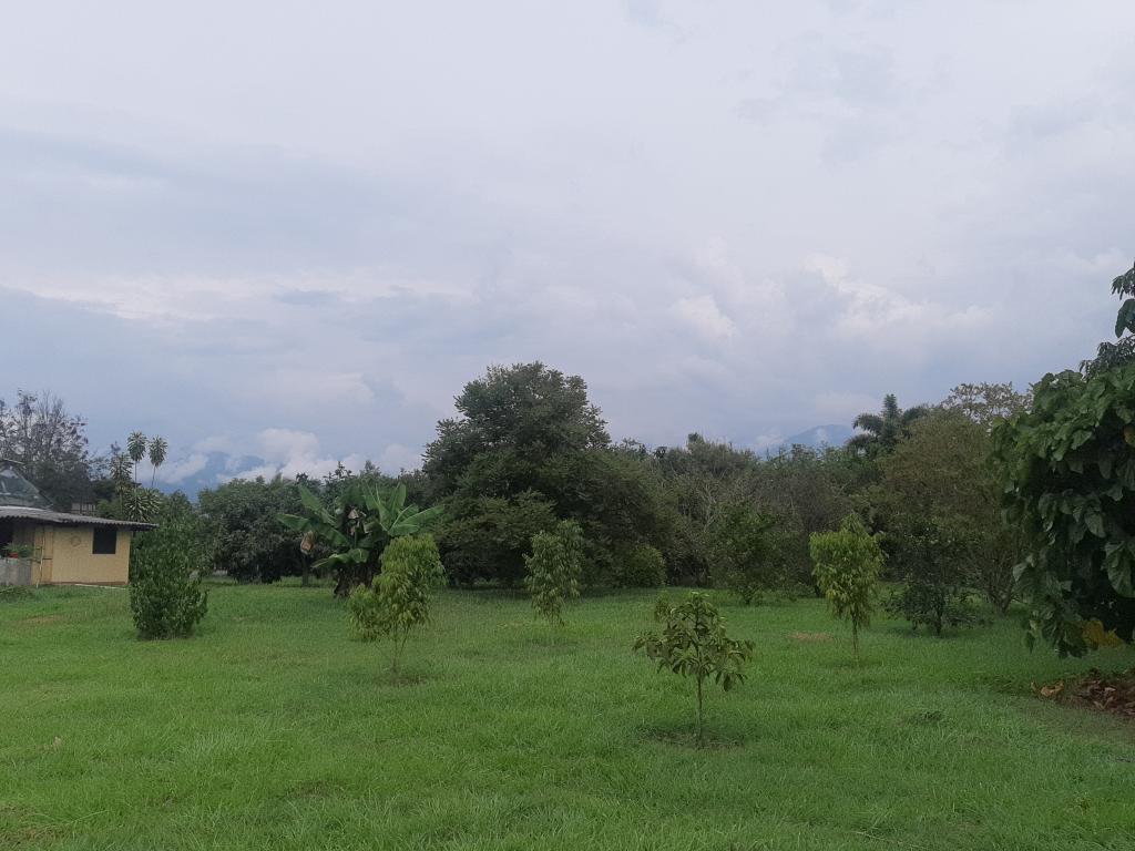 Lote En Venta - Vía El Naranjal-Ginebra, Ginebra