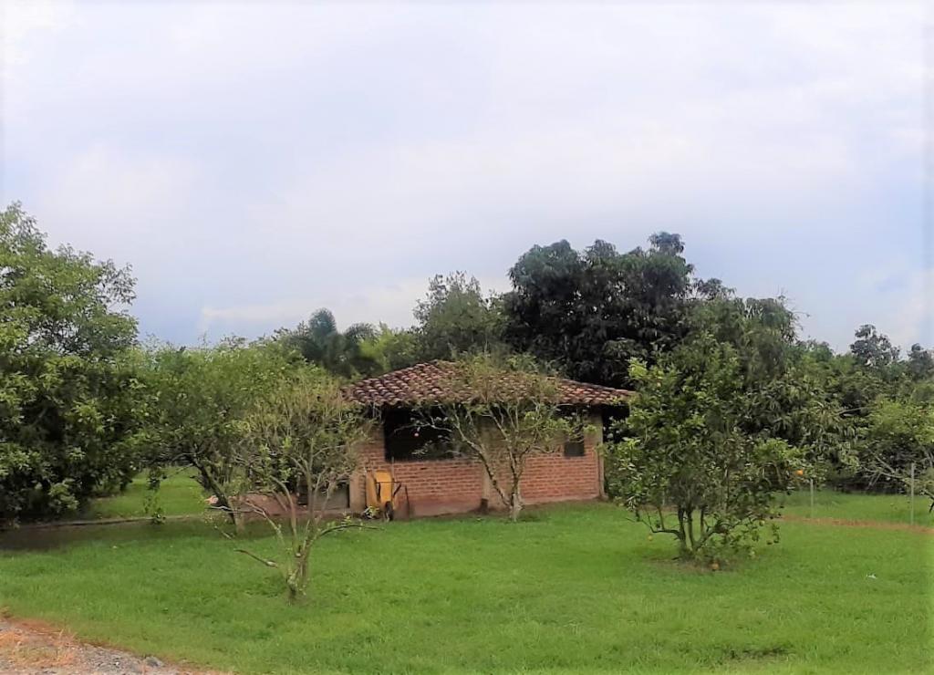 Lote En Venta - Vía El Naranjal-Ginebra, Ginebra