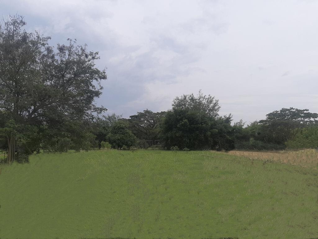 Lote En Venta - Vía El Naranjal-Ginebra, Ginebra