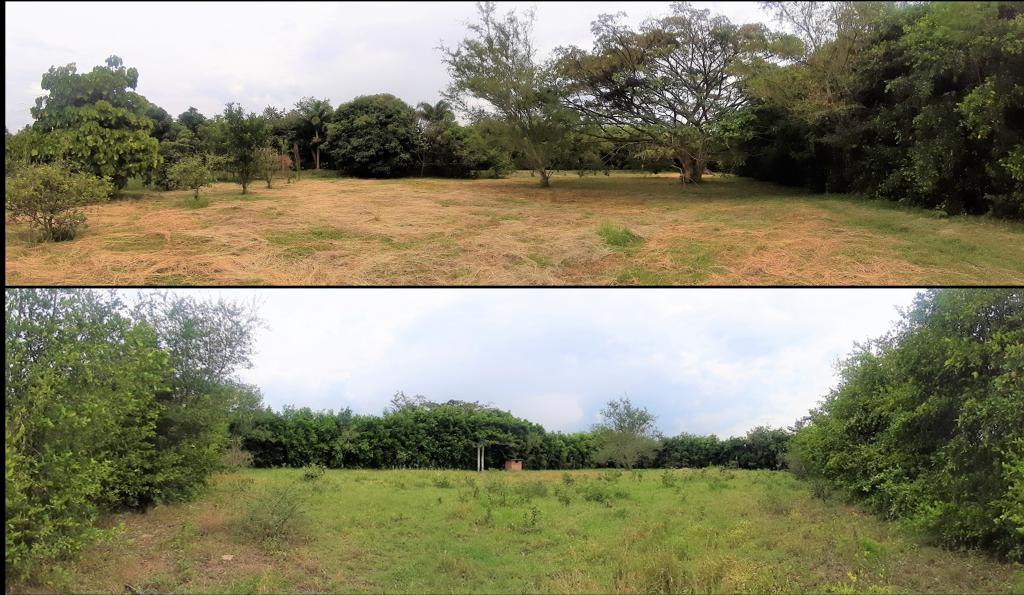 Lote En Venta - Vía Naranjal-Ginebra, Ginebra