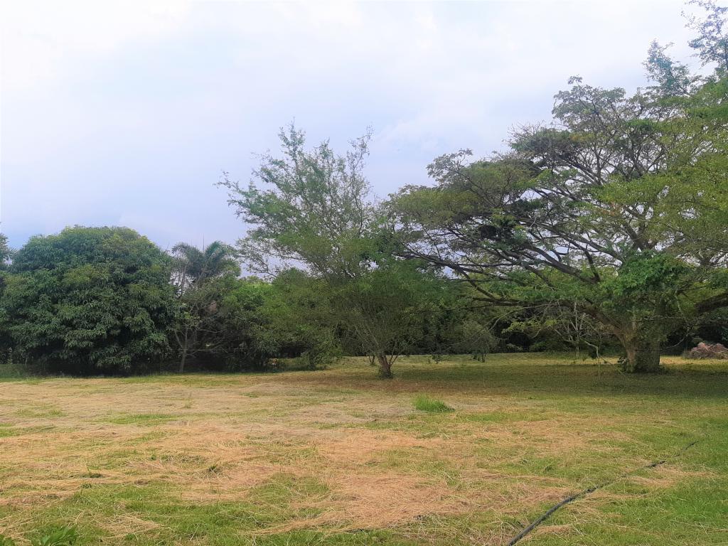 Lote En Venta - Vía Naranjal-Ginebra, Ginebra