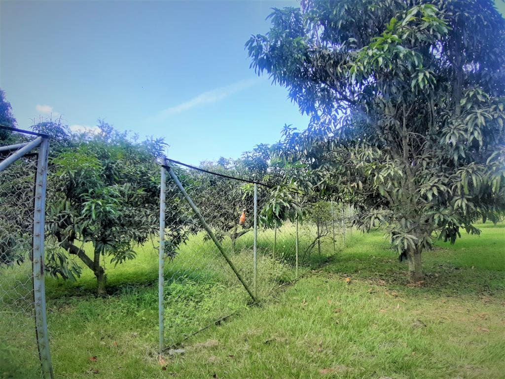 Lote En Venta - Vía Naranjal-Ginebra, Ginebra