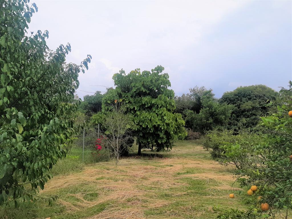 Lote En Venta - Vía Naranjal-Ginebra, Ginebra