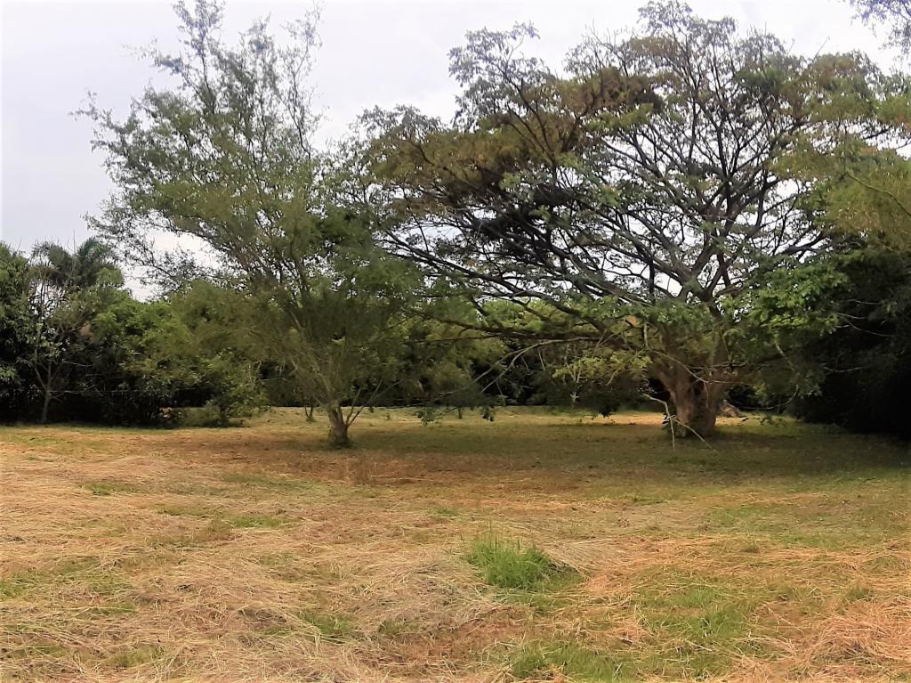 Lote En Venta - Vía Naranjal-Ginebra, Ginebra