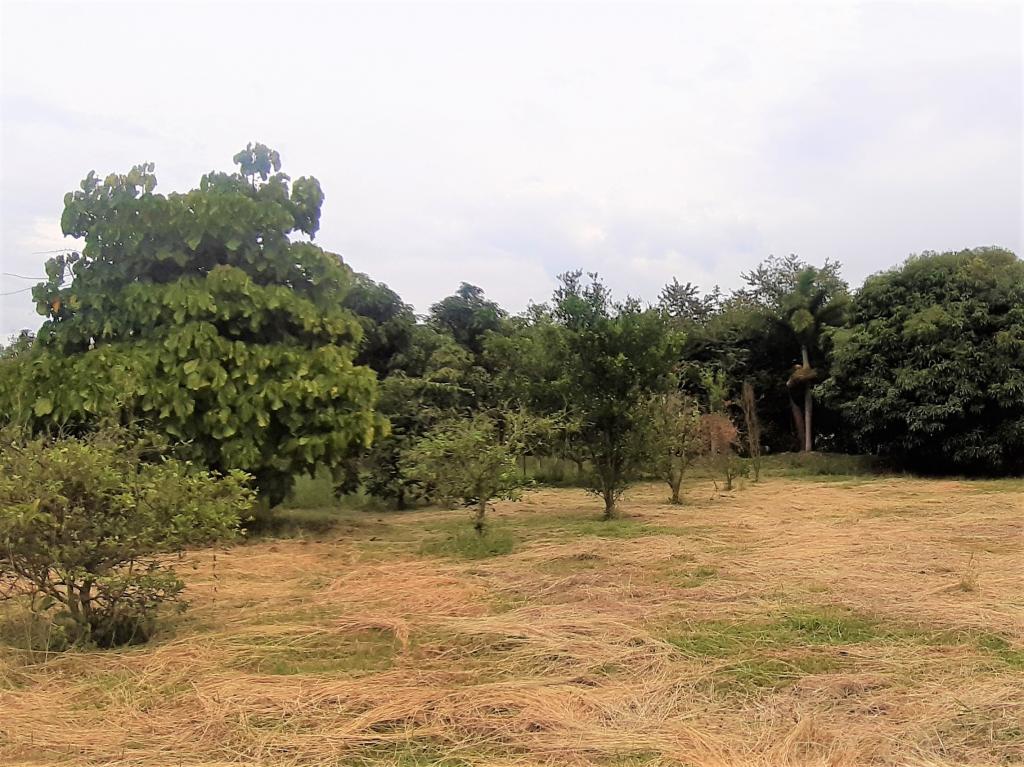 Lote En Venta - Vía Naranjal-Ginebra, Ginebra