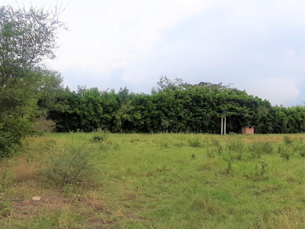 Lote En Venta - Vía Naranjal-Ginebra, Ginebra
