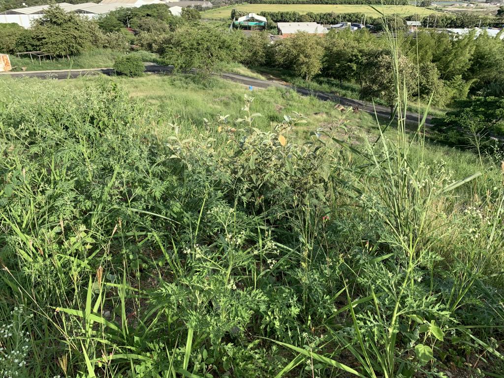 Lote En Venta - Parcelación Campestre Laguna Seca, Yumbo