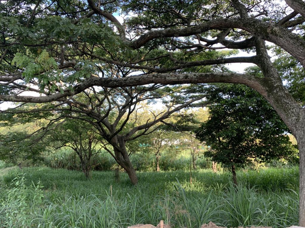 Lote En Venta - Parcelación Campestre Laguna Seca, Yumbo