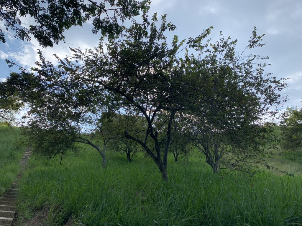 Lote En Venta - Parcelación Campestre Laguna Seca, Yumbo