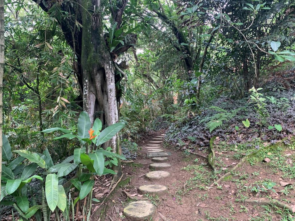 Apartamento En Venta - Bosques Deloeste, Cali