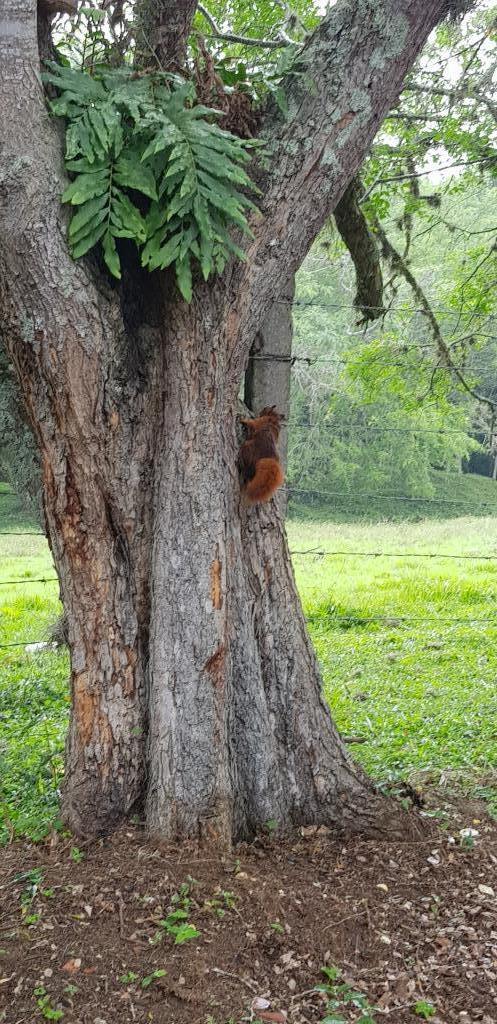 Lote En Venta - El Carmen, Dagua