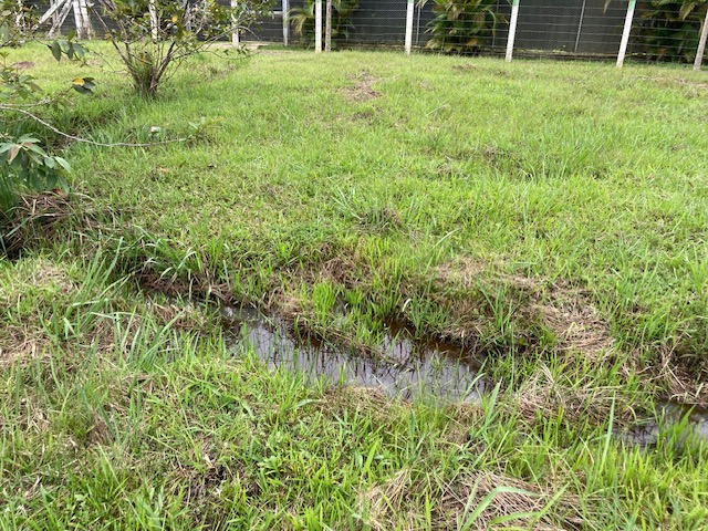 Lote En Venta - El Carmen, Dagua