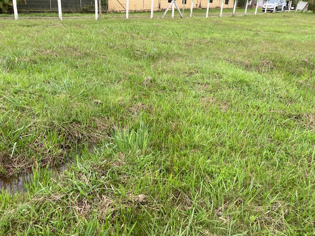 Lote En Venta - El Carmen, Dagua