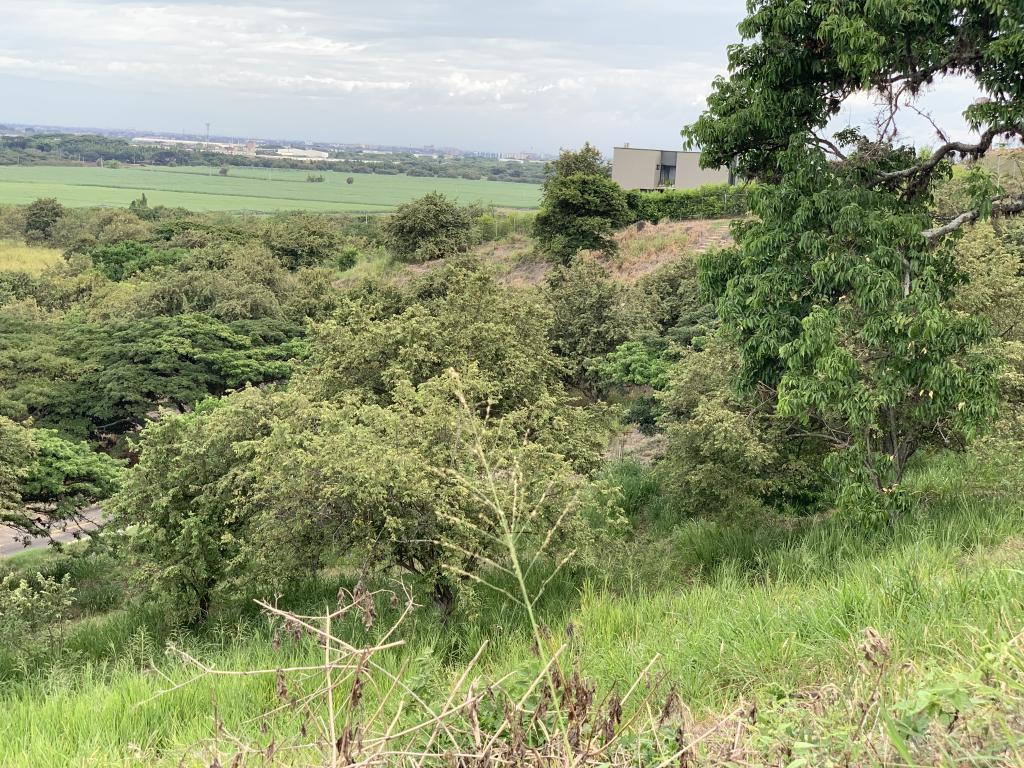 Lote En Venta - Parcelación Campestre Laguna Seca, Yumbo