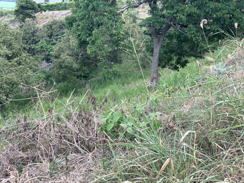 Lote En Venta - Parcelación Campestre Laguna Seca, Yumbo