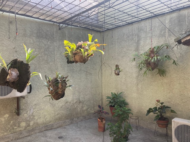 Casas Con Local En Venta - La Merced, Guadalajara De Buga