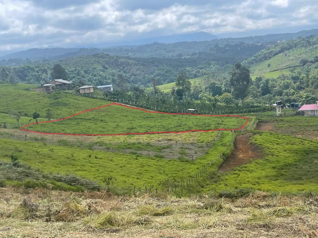 Lote En Venta - Totoro, Totoro