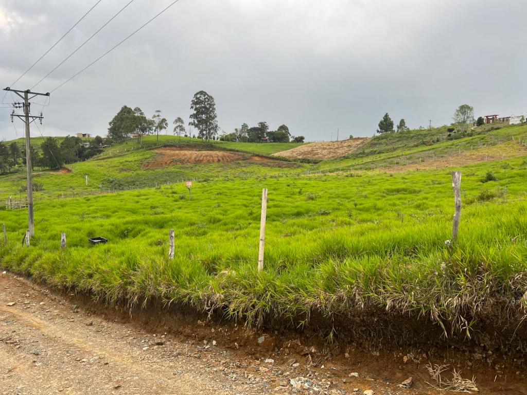 Lote En Venta - Totoro, Totoro