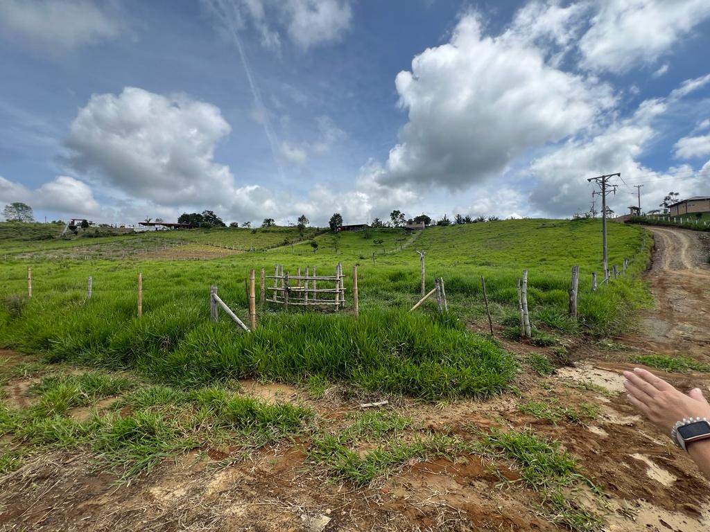 Lote En Venta - Totoro, Totoro