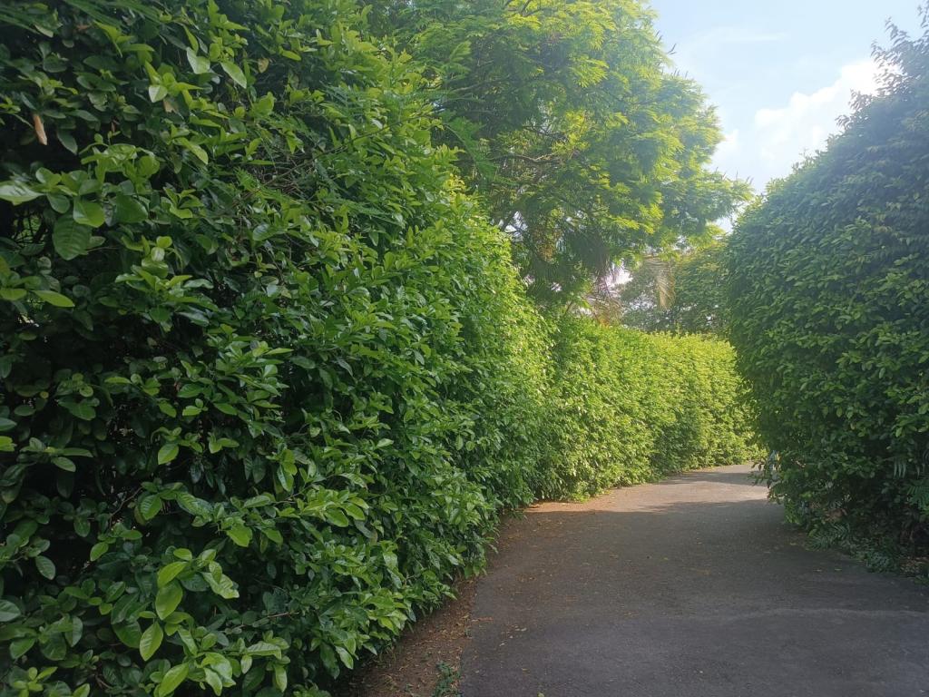 Casa Campestre En Arriendo/Venta - Pance, Cali