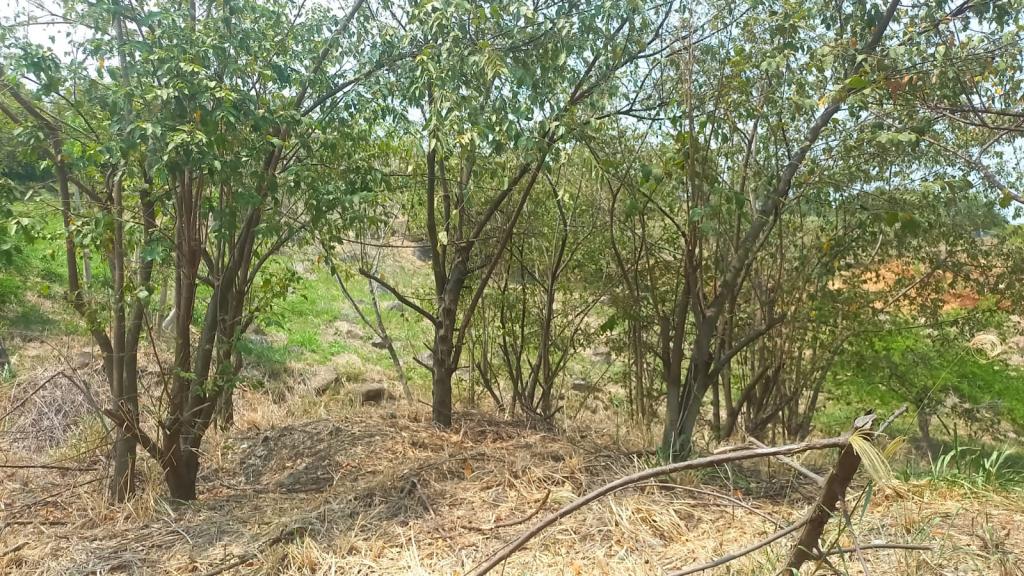 Lote En Venta - Parcelación Campestre Laguna Seca, Yumbo