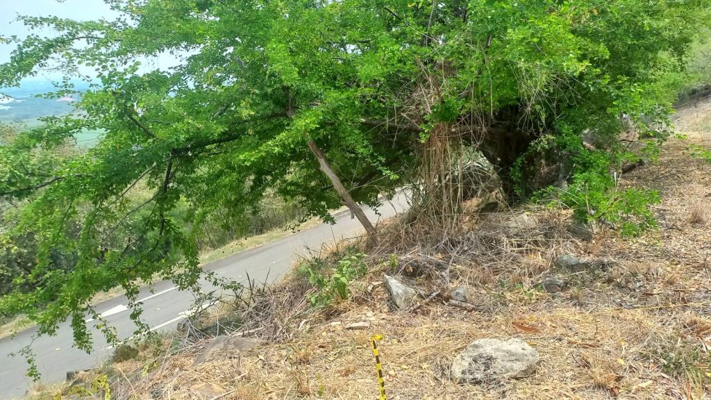 Lote En Venta - Parcelación Campestre Laguna Seca, Yumbo