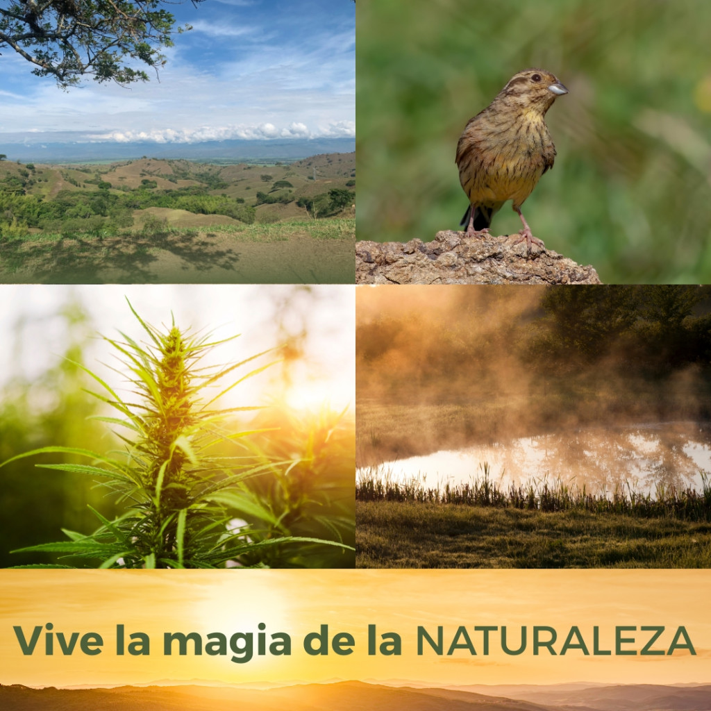 Lote En Venta - Parcelación Y Condominio Campestre Cerro Dulce, Andalucía