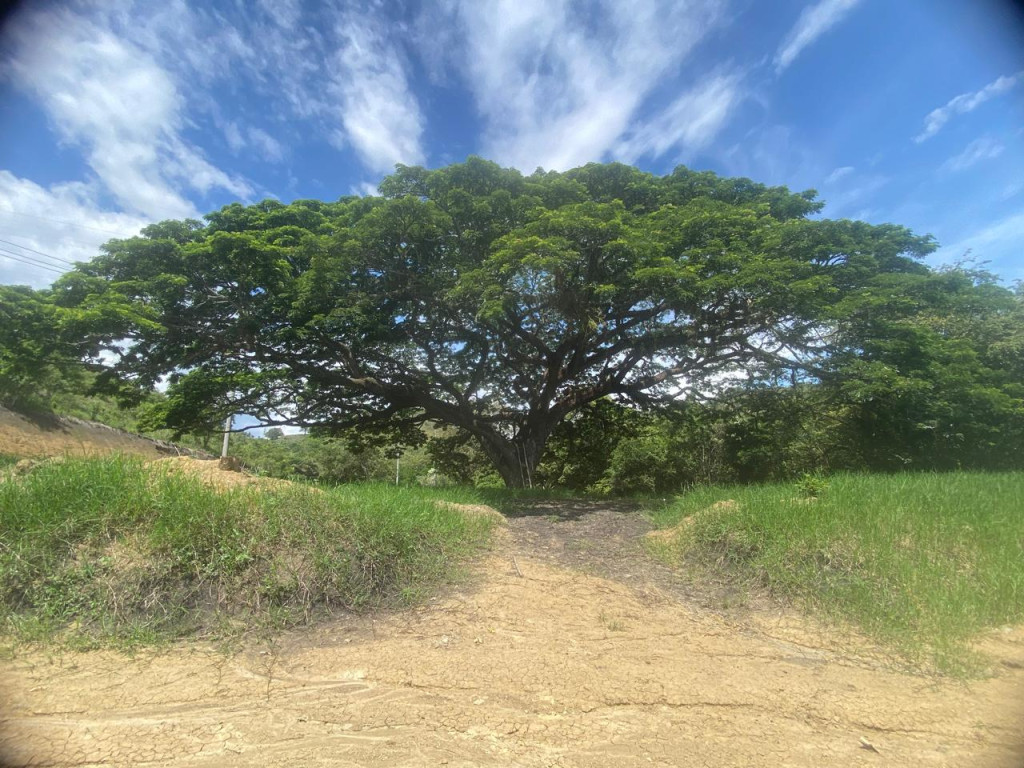 Lote En Venta - Parcelación Y Condominio Campestre Cerro Dulce, Andalucía