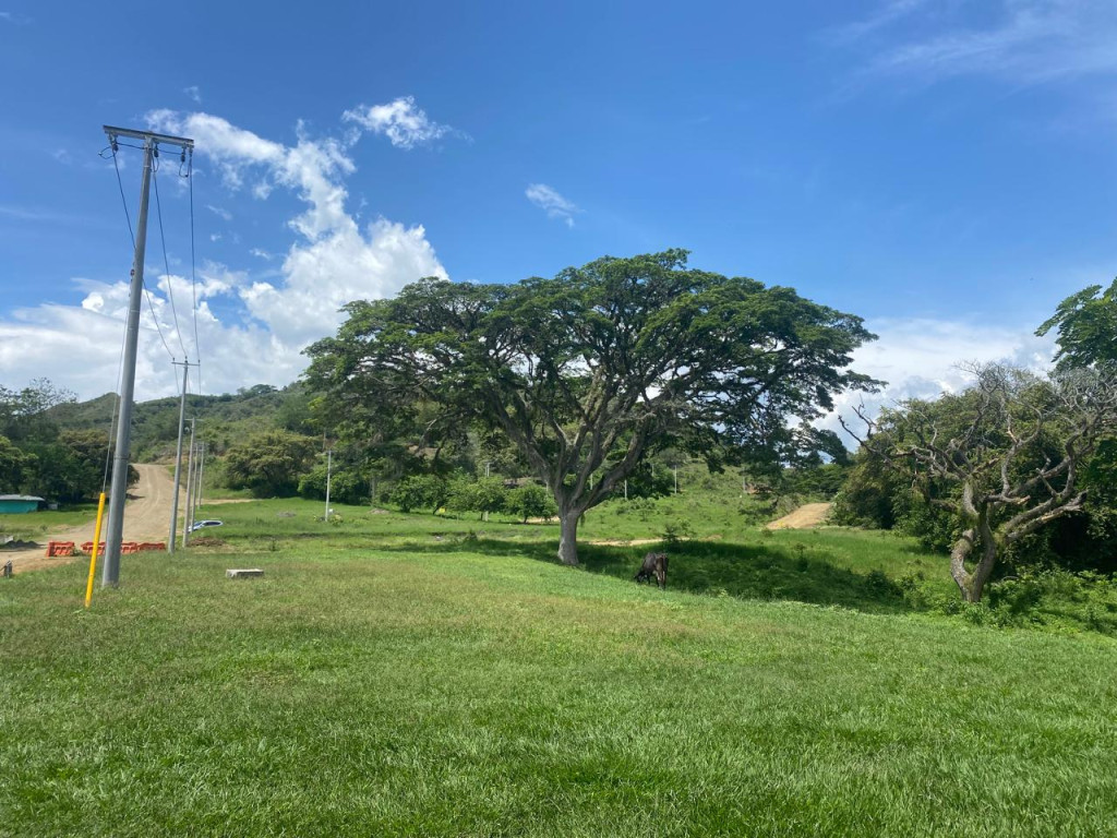 Lote En Venta - Parcelación Y Condominio Campestre Cerro Dulce, Andalucía