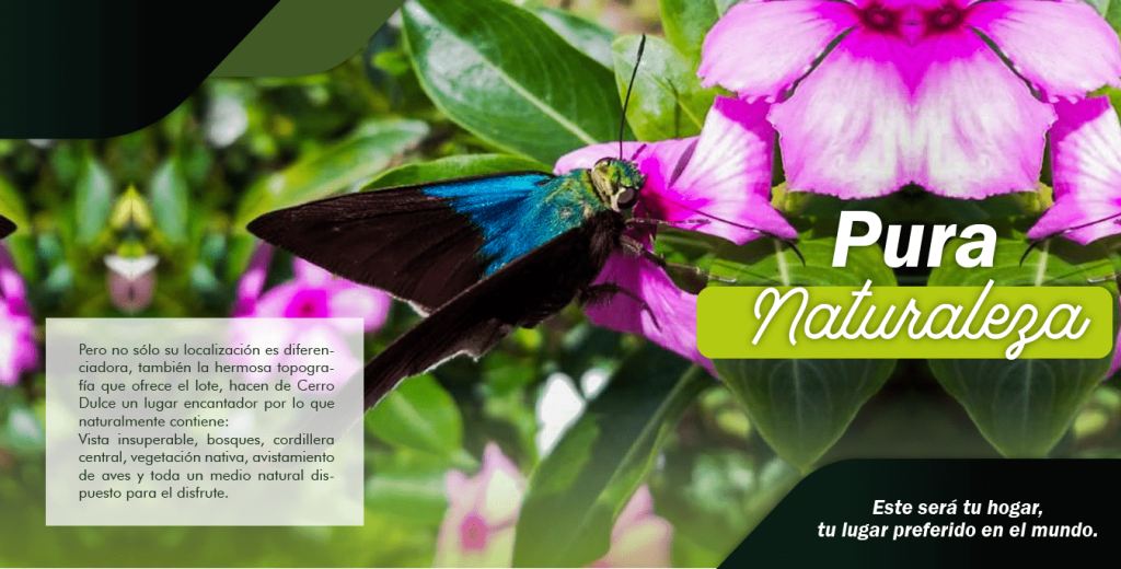 Lote En Venta - Parcelación Y Condominio Campestre Cerro Dulce, Andalucía