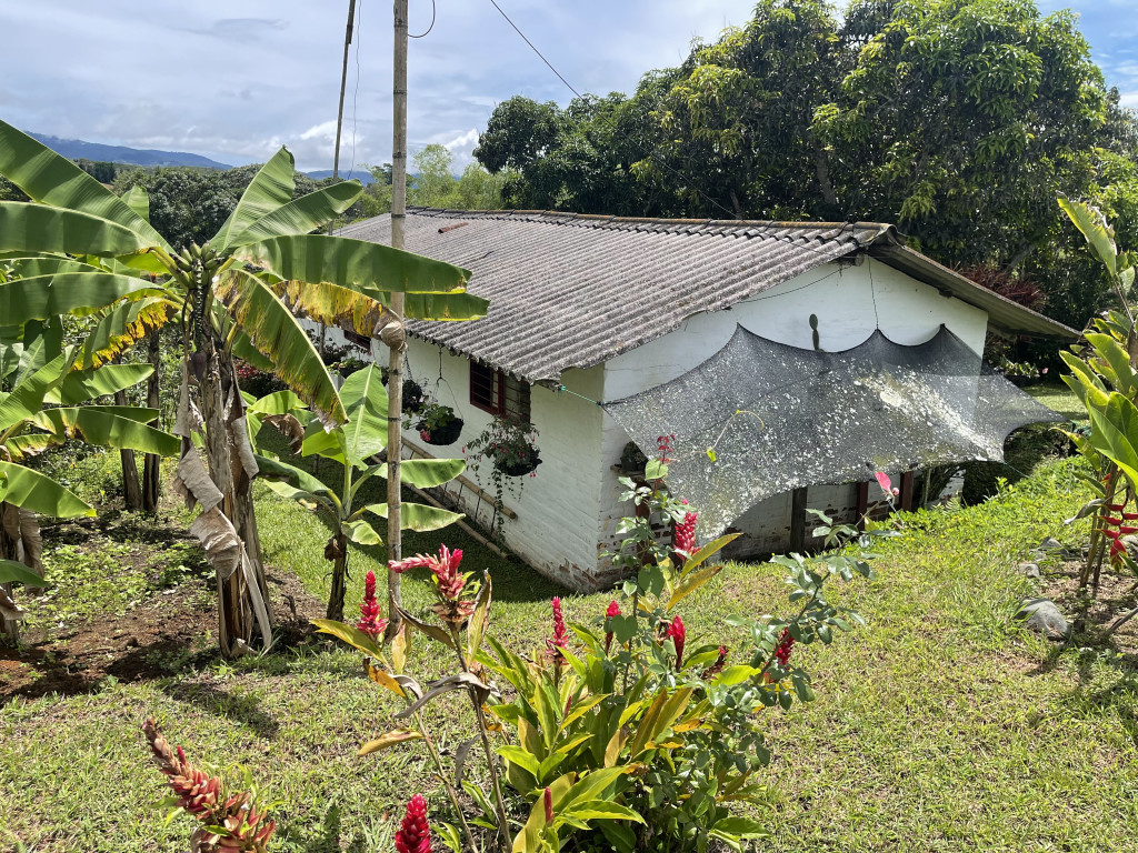 Finca En Venta - Dagua Borrero Ayerbe, Dagua