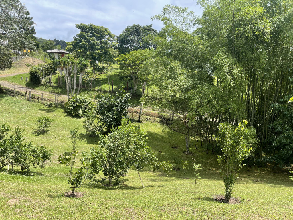 Finca En Venta - Dagua Borrero Ayerbe, Dagua