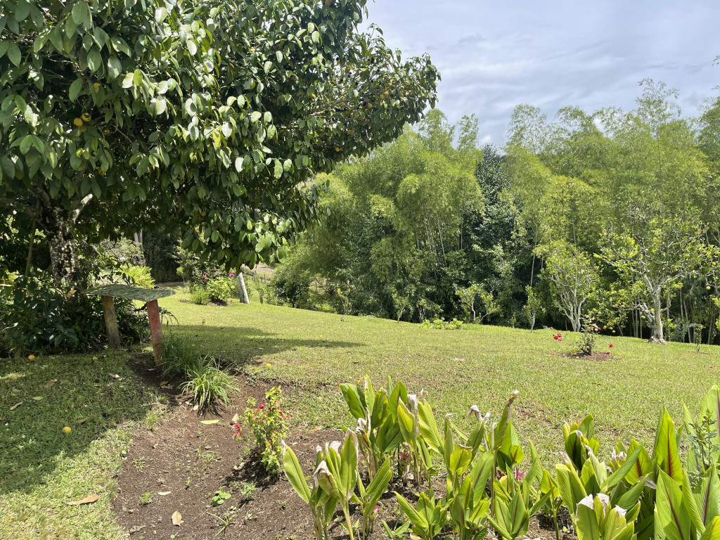 Finca En Venta - Dagua Borrero Ayerbe, Dagua