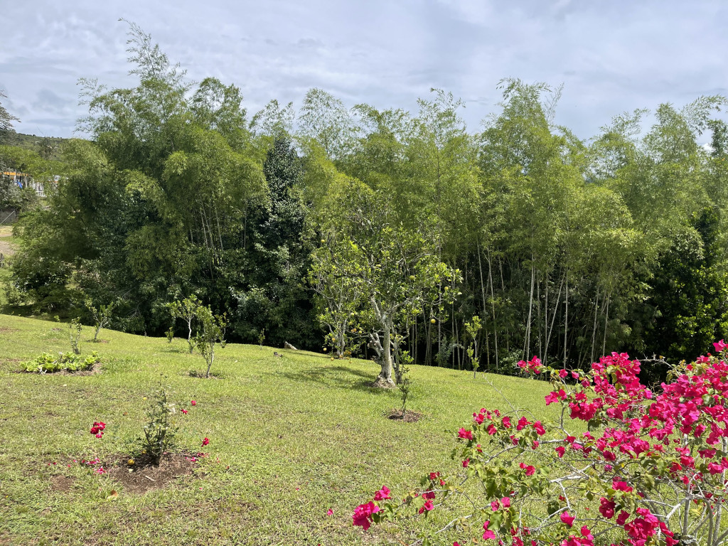 Finca En Venta - Dagua Borrero Ayerbe, Dagua
