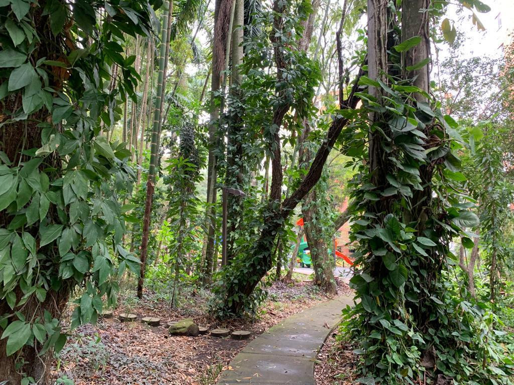 Apartamento En Venta - Bosques Deloeste, Cali