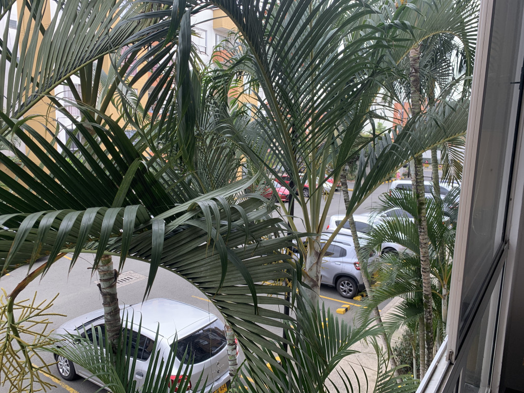 Apartamento En Arriendo - Bochalema, Cali