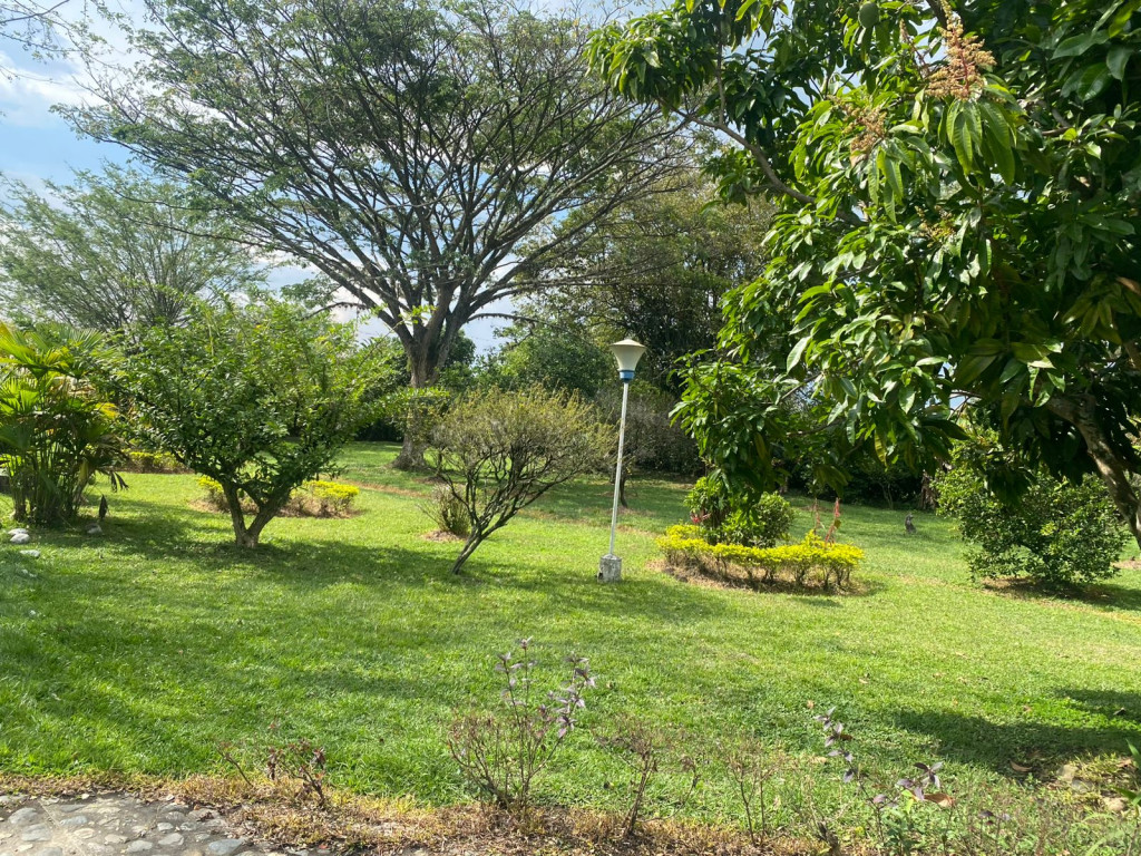Finca En Arriendo - La Novillera Baja, El Cerrito